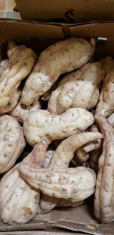 Sweet Potatoes White