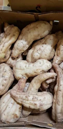 Sweet Potatoes White