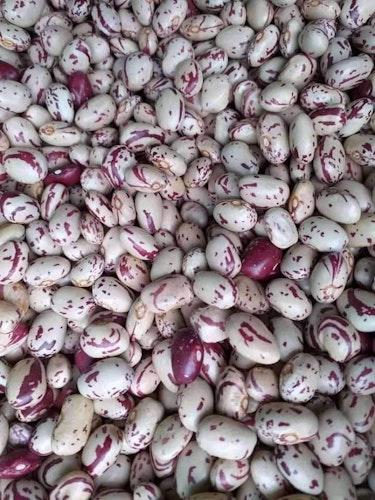 Rose coco beans 1kg