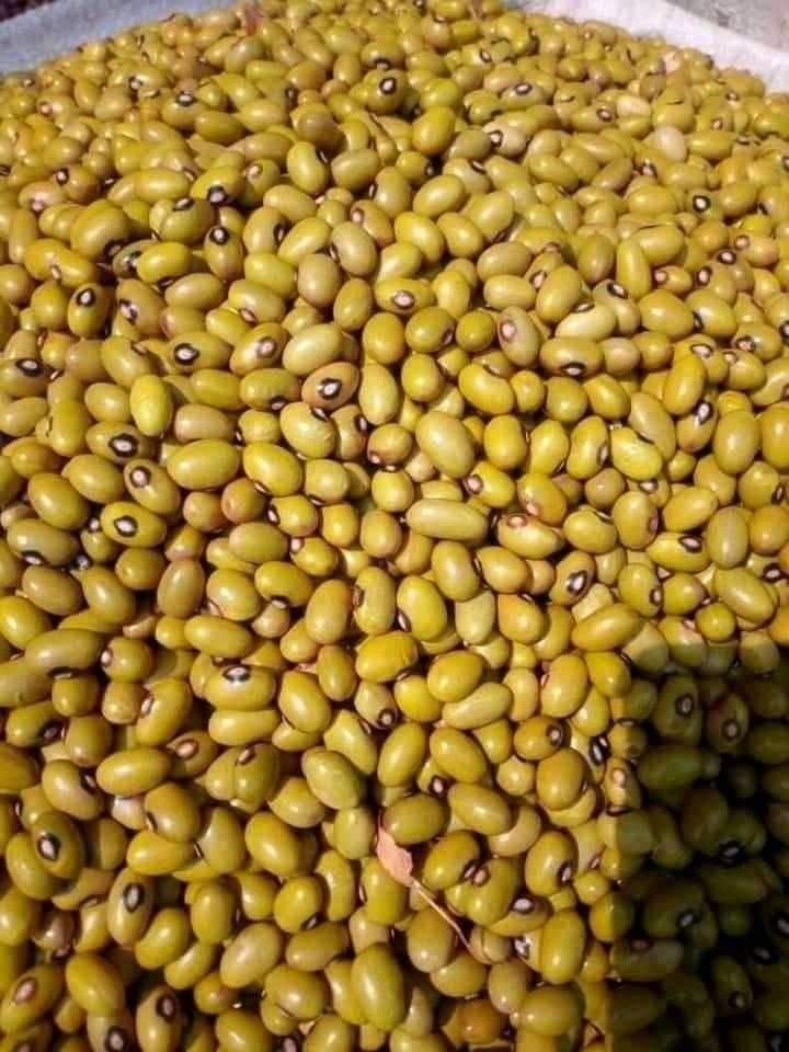 Uganda Yellow beans 1kg
