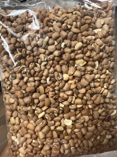 Brown  beans