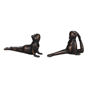 Yoga groda 2 modeller