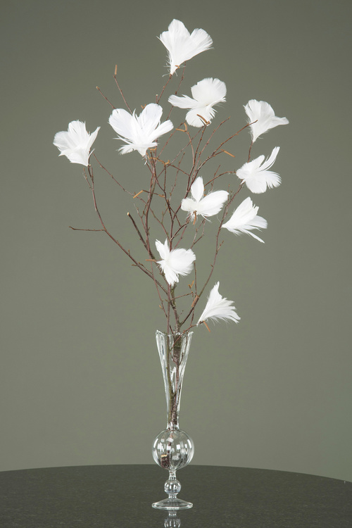 Blomfjärdrar vit