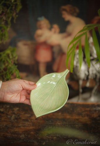 Blad ´Hosta´