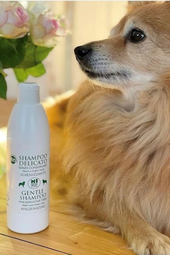 Mi Fido Delicate Hygenic Shampoo för djur