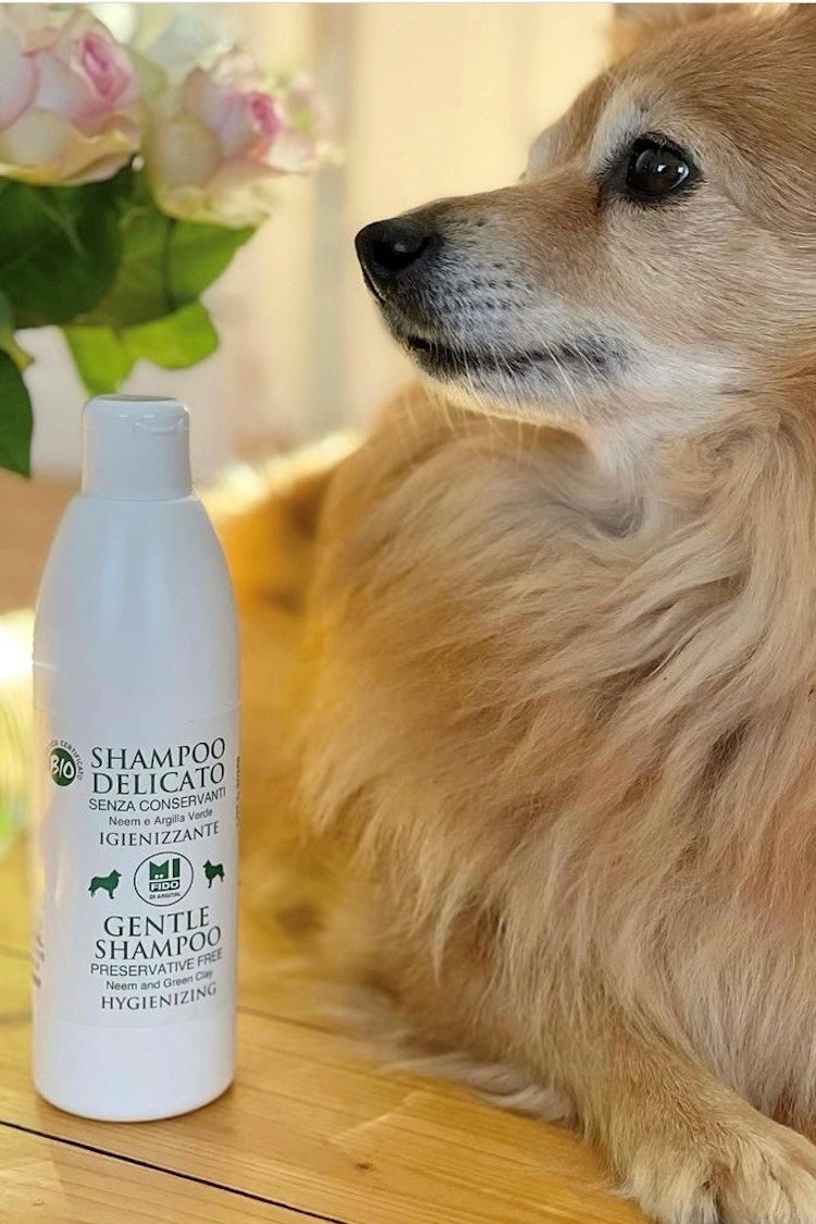 Mi Fido Delicate Hygenic Shampoo för djur