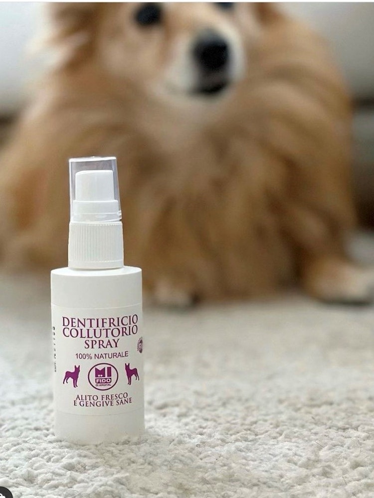 Mi Fido Spray, tandcreme & munvatten för djur