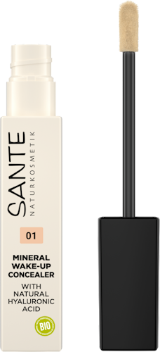 Mineral Wake-up Concealer 01