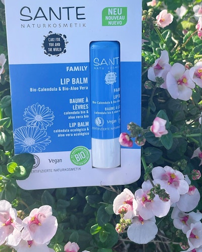 Lip Balm, family ekologisk Ringblomma o Aloe vera