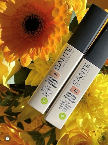 Mineral Wake-up Concealer 02