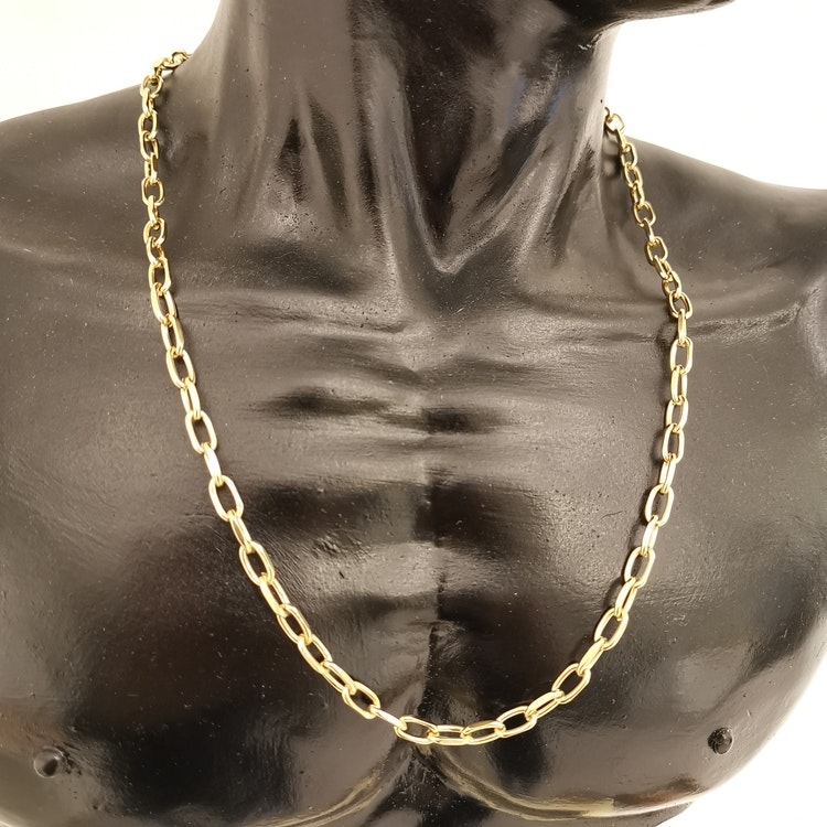 Halsband Ankar Förgyllt Stål - 6 mm - Catwalk Jewellery