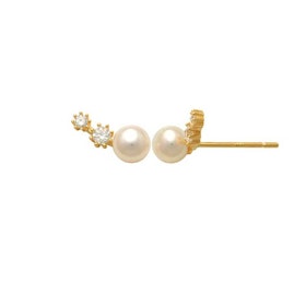 Guldörhängen Pearl With Stones 18K