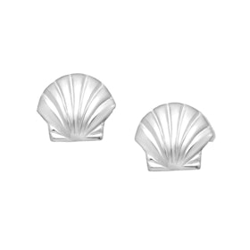 Örhängen Sea Shell Silver
