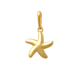 Guldhänge Starfish 18K