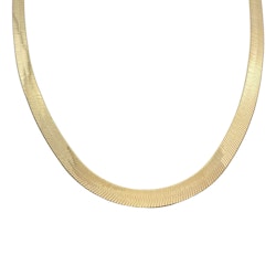 Halsband Herringbone Förgyllt Silver - 5,5 mm