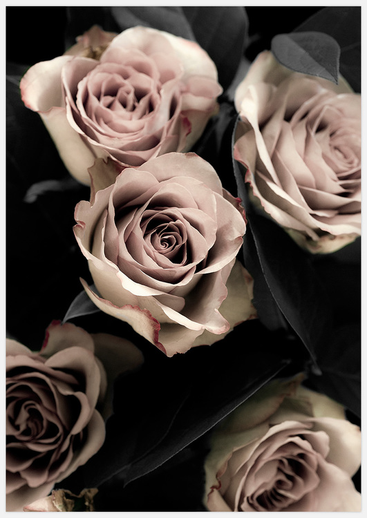 Rostavla en tavla med rosor av Insplendor Art Studio i Sverige.