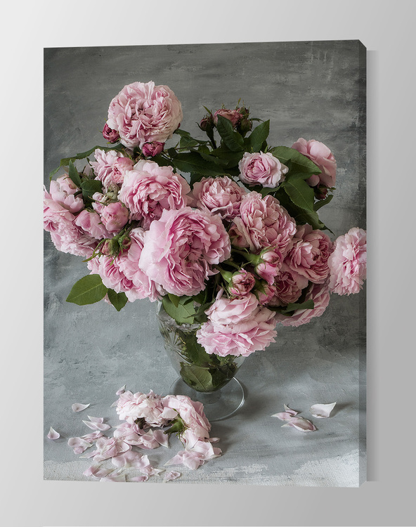Rose Duchesse de Montebello’ Canvas
