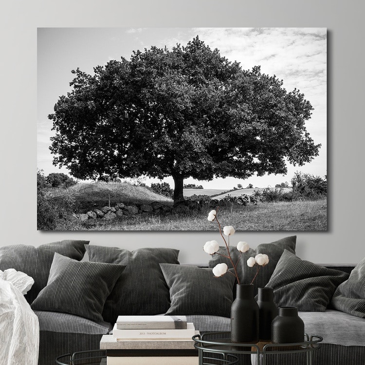Canvastavla med träd | fotokonst | Insplendor - Tavlor online | Fine Art  Prints och Canvastavlor | Insplendor
