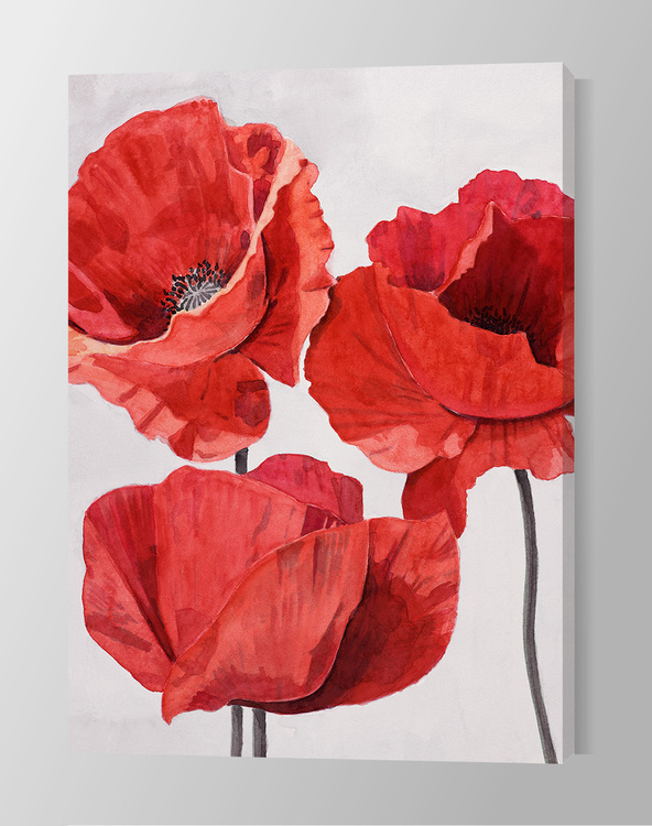 Painted Poppy 2 Canvas