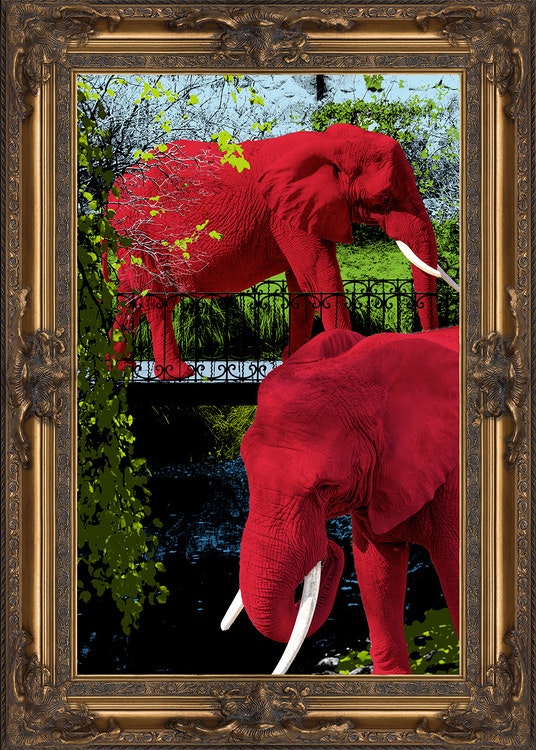 Elephant Park & Painted Frame Canvas