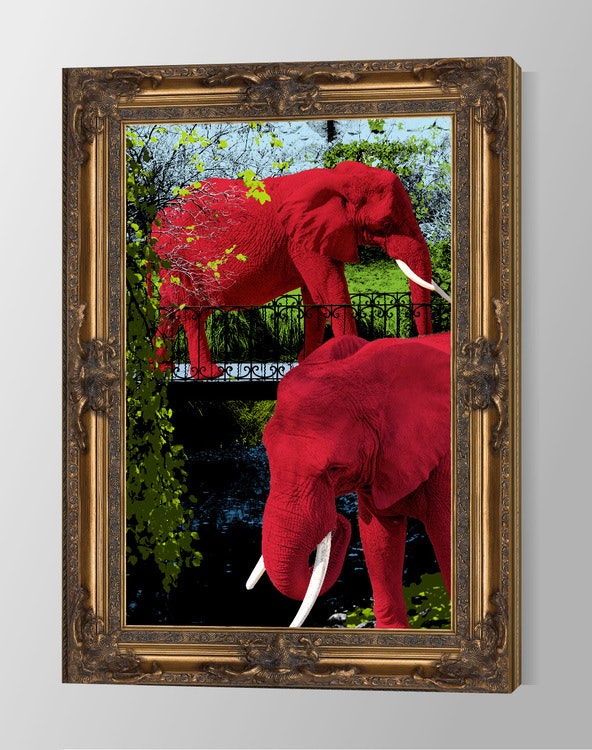 Elephant Park & Painted Frame Canvas
