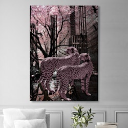 Pink Cheetah Canvas