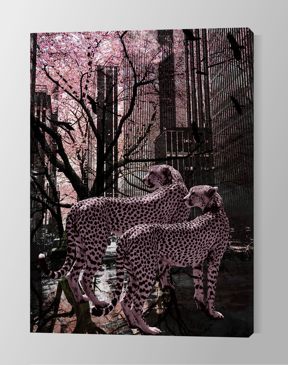 Pink Cheetah Canvas