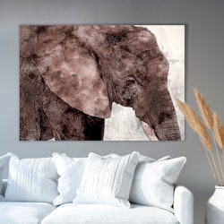 Elephant Paint Canvas