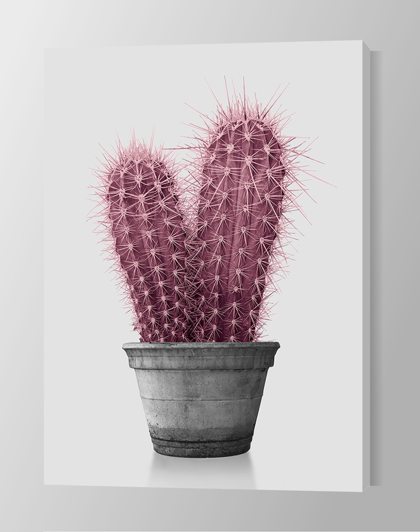 Pink Cactus Canvas