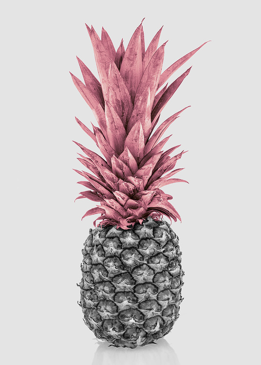 Pink Pineapple Canvas