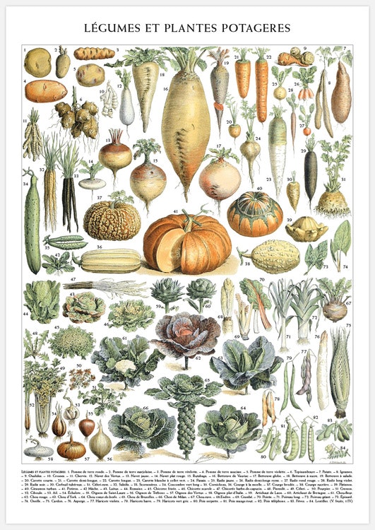 Vintage Vegetable Chart Art Print