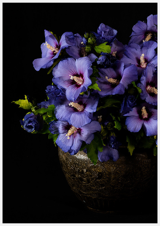 Blue Flowers – Fine Art Print