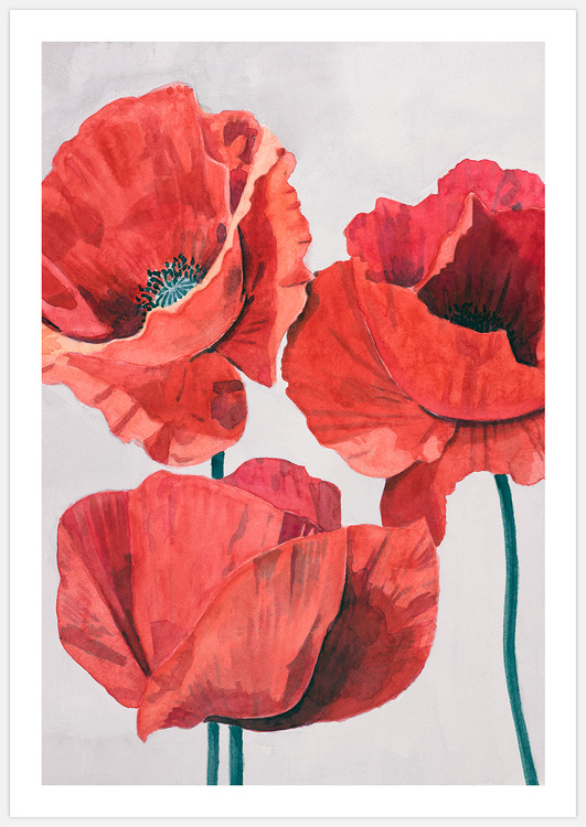 Painted Poppy 2 – Fine Art Print