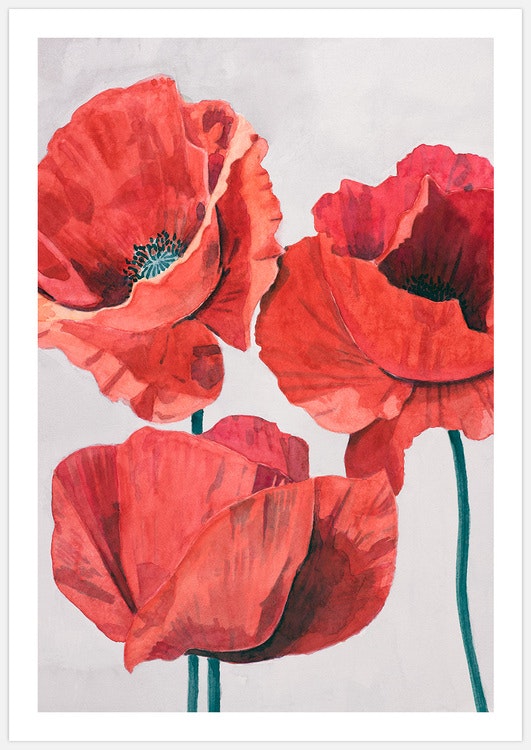 Painted Poppy 2 Art Print