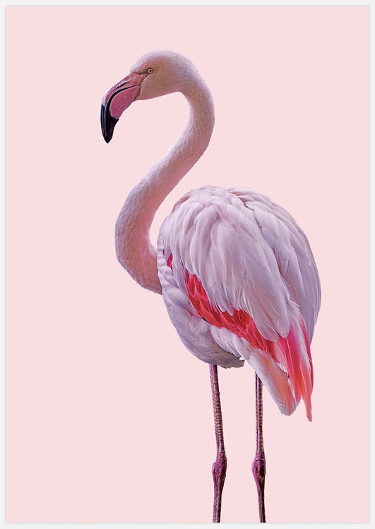 Tavla med rosa flamingo. Foto Insplendor Art Studio i Sverige.