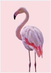 Pink Flamingo 2 flip Art Print