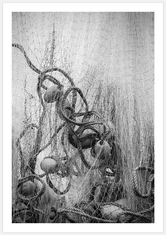 Fisherman's Net Art Print