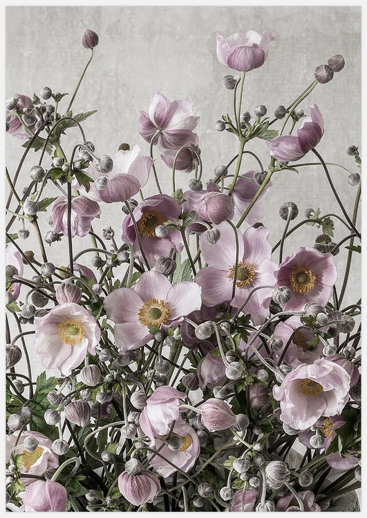 Flower Meadow – Fine Art Print