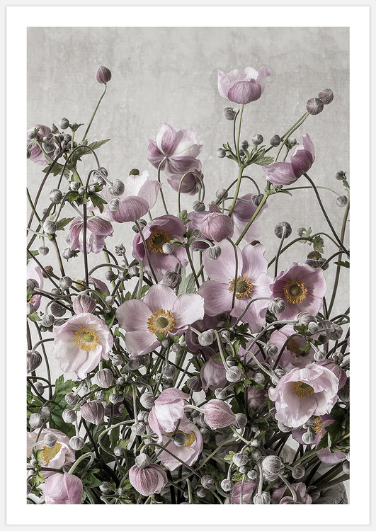 Flower Meadow – Fine Art Print
