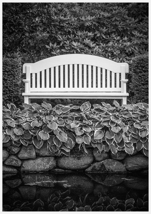 Park Bench – Fine Art Print