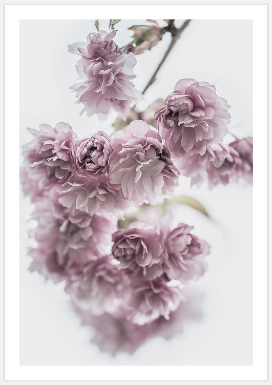 Spring Flowers – Fine Art Print