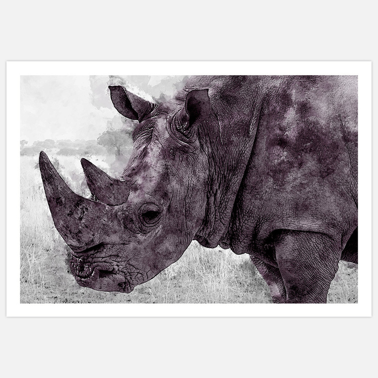 Painted Rhinoceros Art Print