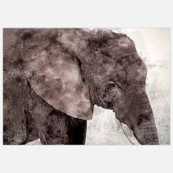 Painted elephant Art Print