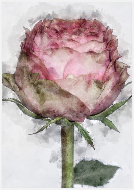 Painted Rose on Grey Art Print