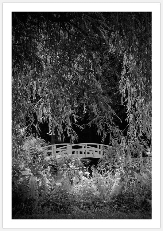 Garden Bridge – Fine Art Print