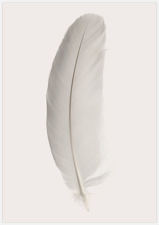 White Feather 2 Art Print