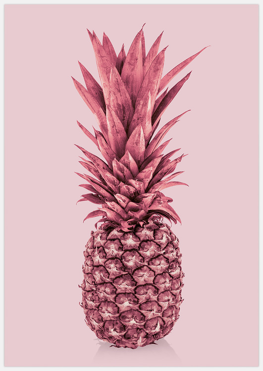 Absolutely Pink Pineapple – Fine Art Print