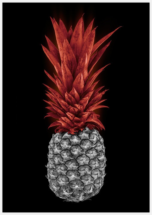 Vulcano Pineapple Art Print