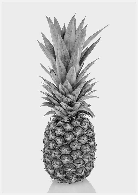 Pineapple – Fine Art Print