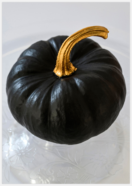 Black Pumpkin – Fine Art Print